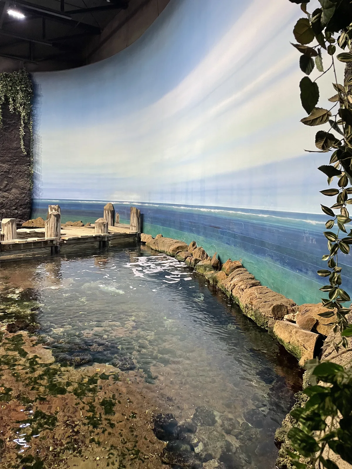 Ausstellung im Universum Bremen