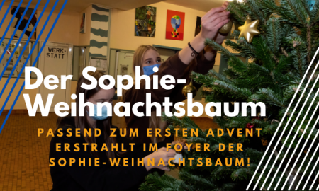 Der Sophie-Weihnachtsbaum